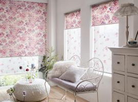 �J�[�e���V���b�v���ƂԂ��E���[���X�N���[���i�����Ƌ�X�j